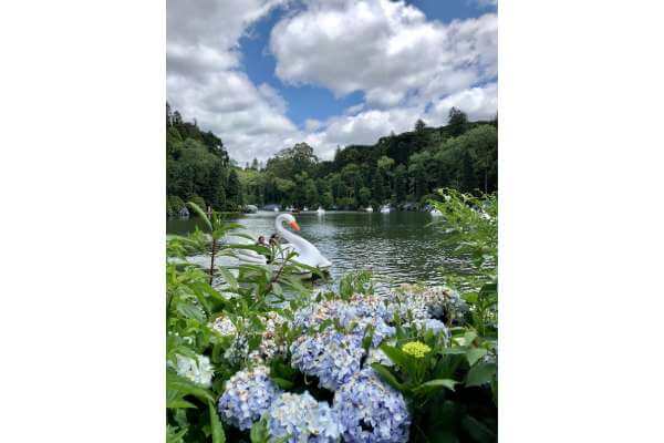 Passeios em Gramado